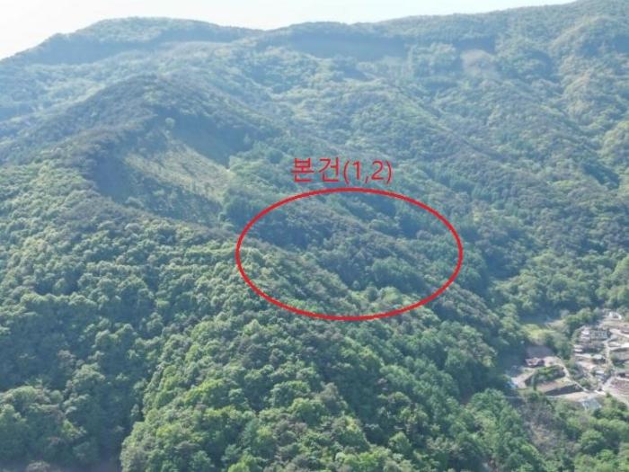 충청북도 단양군 영춘면 오사리 318-4 전 경매 사진 2