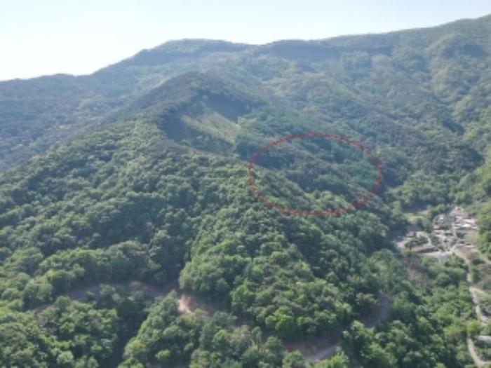 충청북도 단양군 영춘면 오사리 318-4 전 경매 사진 5