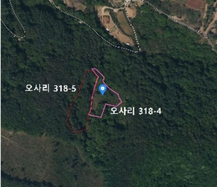 충청북도 단양군 영춘면 오사리 318-4 전 경매 사진 6
