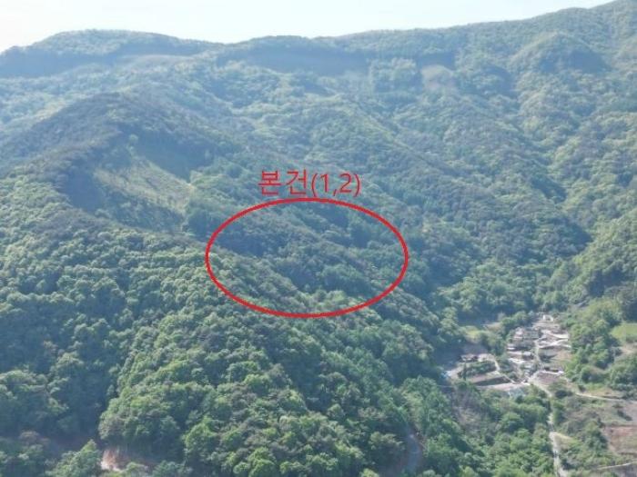 충청북도 단양군 영춘면 오사리 318-4 전 경매 사진 7