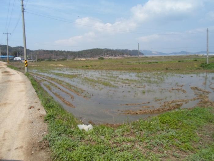전라남도 진도군 고군면 동부해안로 268-1구) 전라남도 진도군 고군면 벽파리 97-1 종교시설 경매 사진 2