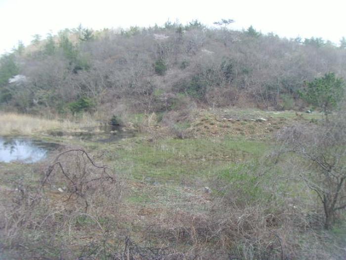 전라남도 진도군 고군면 동부해안로 268-1구) 전라남도 진도군 고군면 벽파리 97-1 종교시설 경매 사진 40