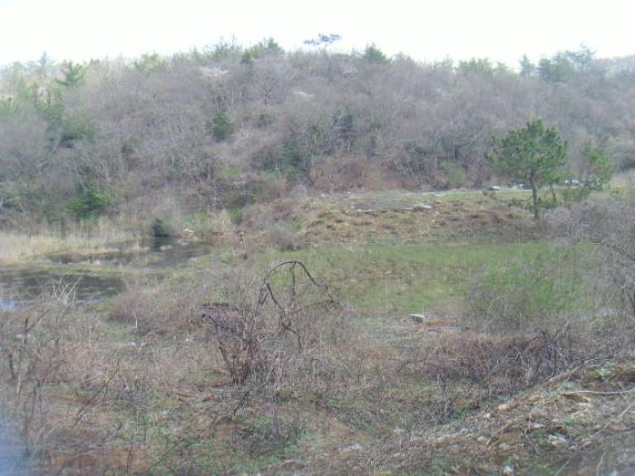 전라남도 진도군 고군면 동부해안로 268-1구) 전라남도 진도군 고군면 벽파리 97-1 종교시설 경매 사진 41