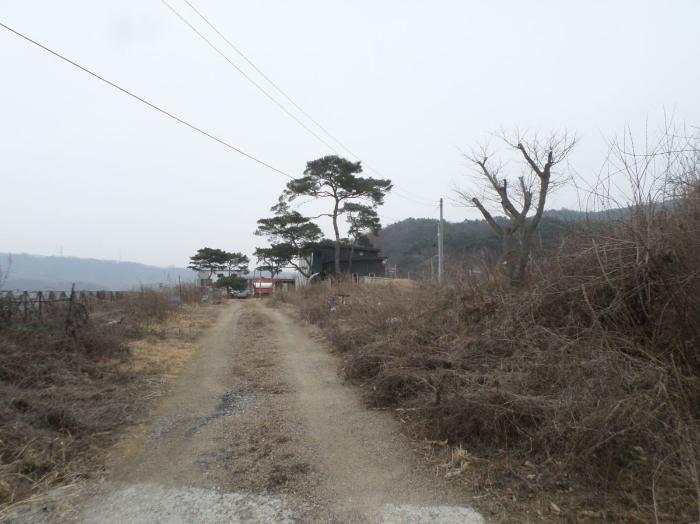 충청북도 충주시 앙성면 조천리 46-2 주택 경매 사진 1