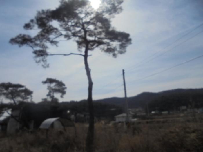 충청북도 충주시 앙성면 조천리 46-2 주택 경매 사진 16