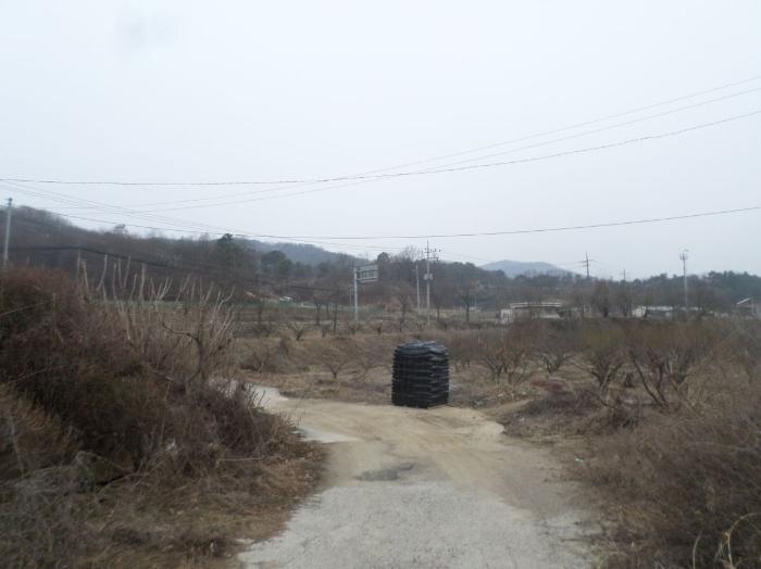 충청북도 충주시 앙성면 조천리 46-2 주택 경매 사진 8