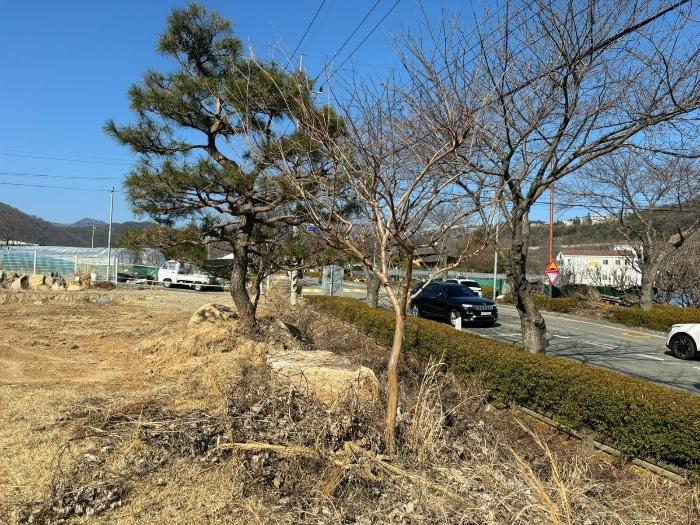 부산광역시 기장군 장안읍 장안리 139-3 답 경매 사진 5
