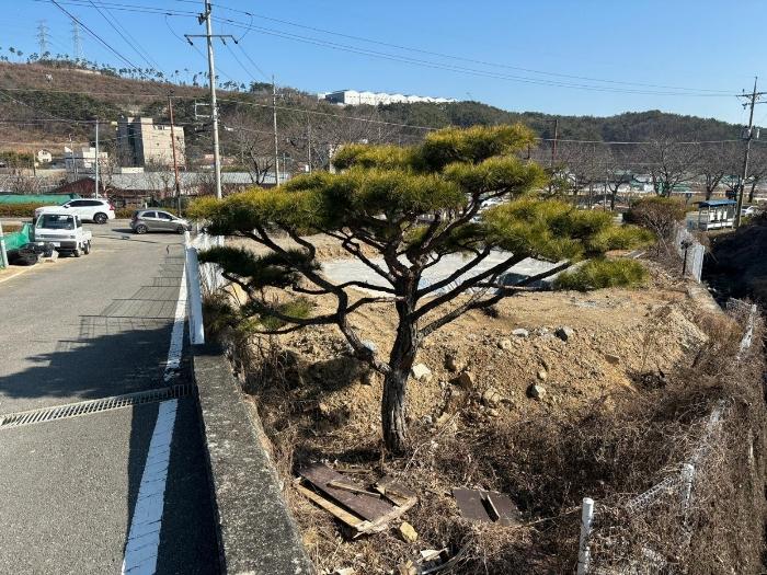 부산광역시 기장군 장안읍 장안리 139-3 답 경매 사진 9