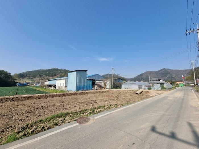 전라남도 함평군 대동면 금산리 32-8 창고 경매 사진 1