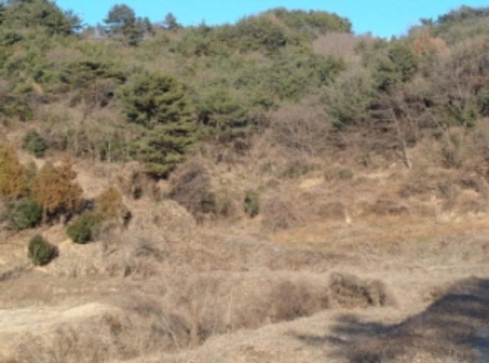 경상남도 남해군 서면 정포리 888 답 경매 사진 4