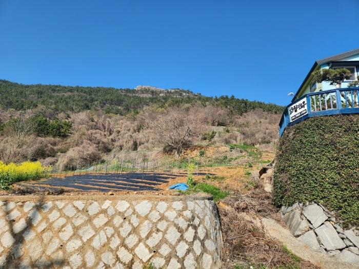 경상남도 남해군 남면 선구리 464-2 전 경매 사진 4