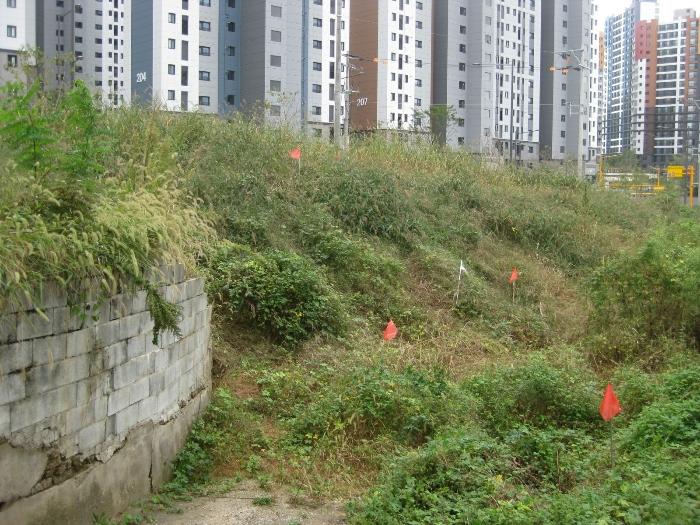 전남 화순군 답