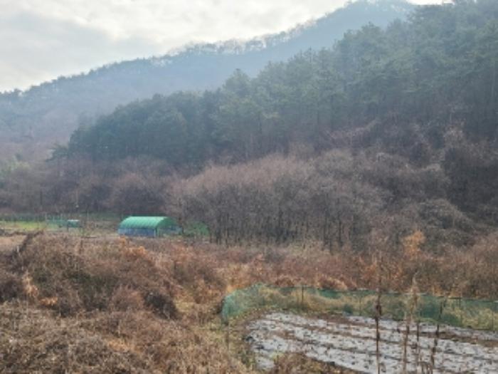 전라남도 화순군 화순읍 이십곡리 442-1 답 경매 사진 7