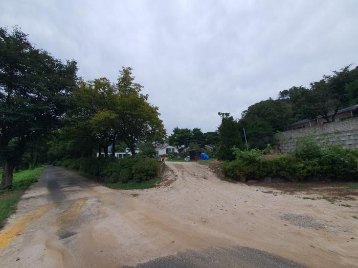 강원 홍천군 주택