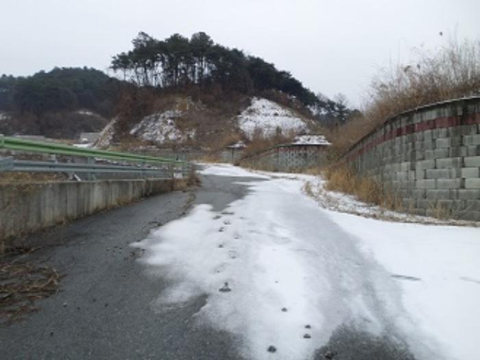 강원특별자치도 원주시 판부면 서곡리 산103-19 임야 경매 사진 12