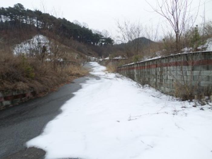 강원특별자치도 원주시 판부면 서곡리 산103-19 임야 경매 사진 14