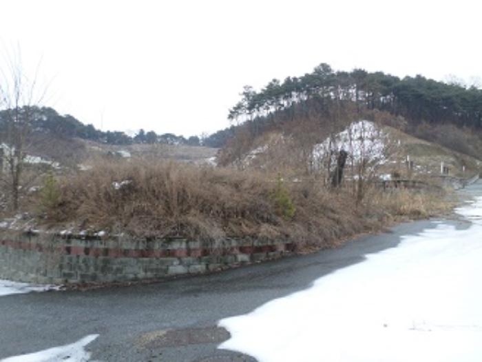 강원특별자치도 원주시 판부면 서곡리 산103-19 임야 경매 사진 21