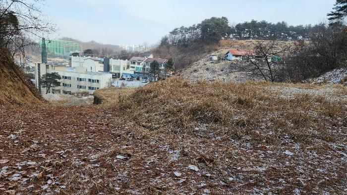 강원특별자치도 원주시 판부면 서곡리 산103-19 임야 경매 사진 9