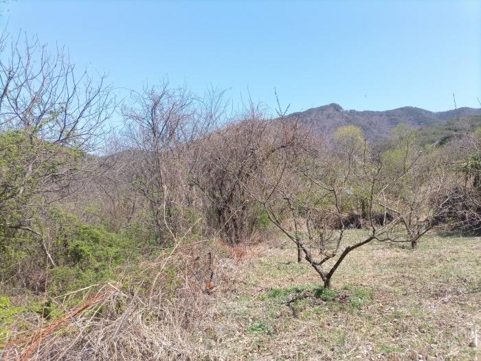 경상남도 밀양시 단장면 사연리 1063-2 답 경매 사진 2