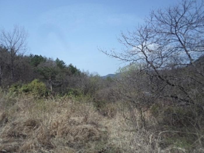 경상남도 밀양시 단장면 사연리 1063-2 답 경매 사진 3