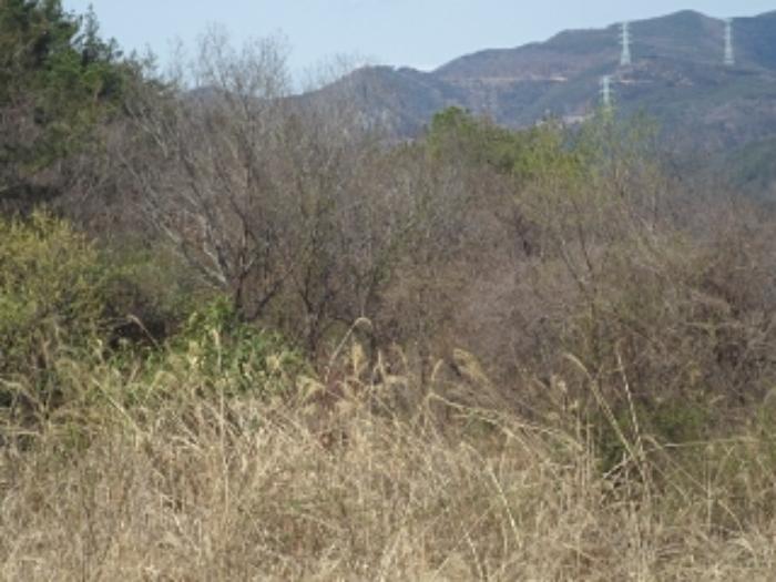 경상남도 밀양시 단장면 사연리 1063-2 답 경매 사진 6
