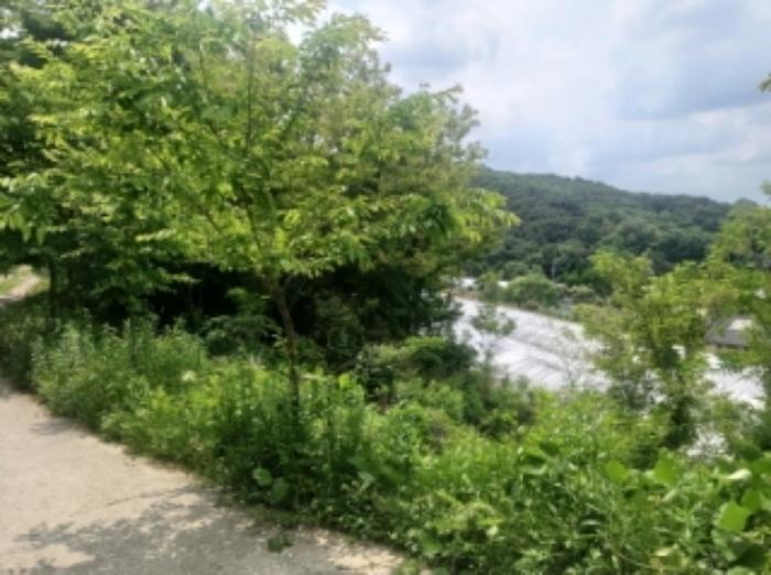 충청남도 당진시 면천면 죽동리 260-1 임야 경매 사진 11