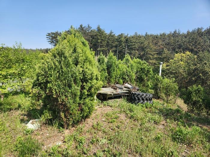 충청남도 태안군 이원면 관리 1058-1 노유자시설 경매 사진 16