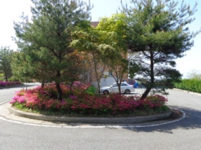 충청남도 태안군 이원면 관리 1058-1 노유자시설 경매 사진 26
