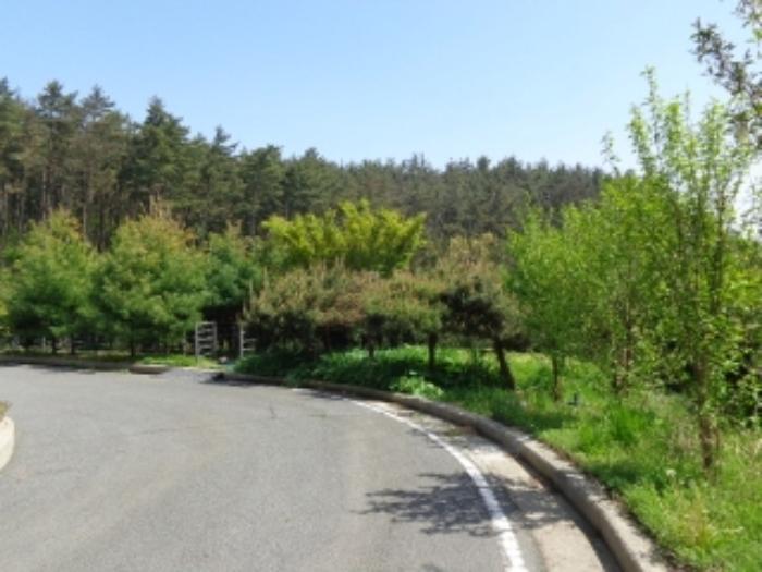 충청남도 태안군 이원면 관리 1058-1 노유자시설 경매 사진 31