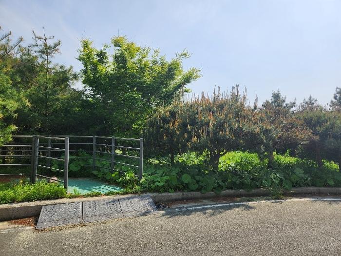 충청남도 태안군 이원면 관리 1058-1 노유자시설 경매 사진 7