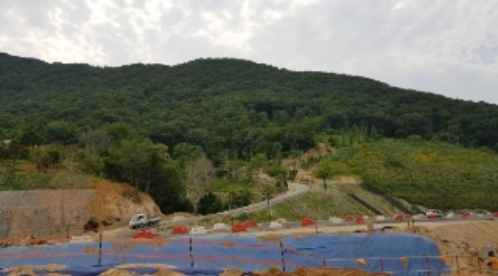 경상남도 김해시 대동면 덕산리 254-7 임야 경매 사진 18