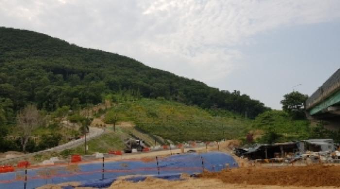 경상남도 김해시 대동면 덕산리 254-7 임야 경매 사진 19