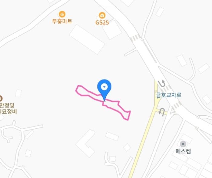 세종특별자치시 부강면 금호리 616 전 경매 사진 16