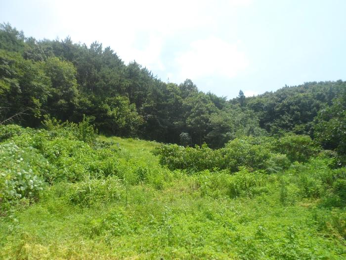 경상남도 거제시 동부면 산양리 40-4 전 경매 사진 1