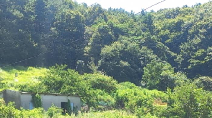 경상남도 거제시 동부면 산양리 40-4 전 경매 사진 10