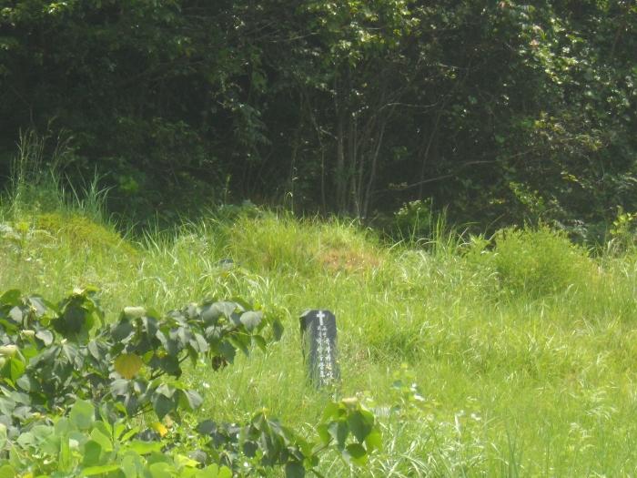 경남 거제시 동부면 산양리 40-4 전 사진 2