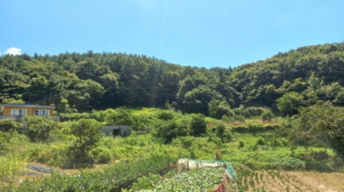 경상남도 거제시 동부면 산양리 40-4 전 경매 사진 7