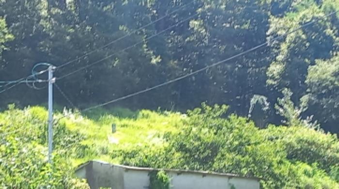 경상남도 거제시 동부면 산양리 40-4 전 경매 사진 9