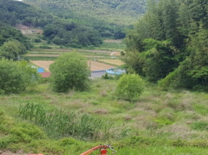 전라남도 장흥군 용산면 상발리 274 답 경매 사진 3