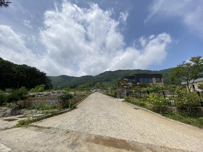 전라남도 장성군 과수원