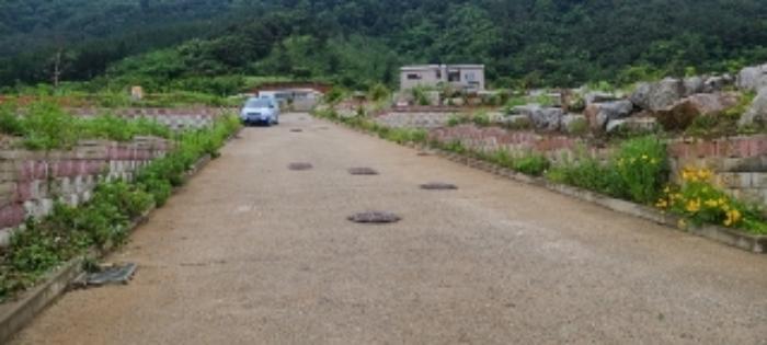 전라남도 장성군 북이면 신평리 340-50 과수원 경매 사진 13