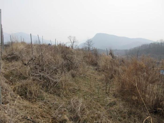 경상북도 문경시 마성면 모곡리 256 전 경매 사진 2