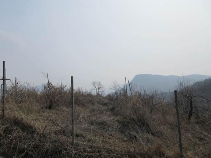 경상북도 문경시 마성면 모곡리 256 전 경매 사진 3