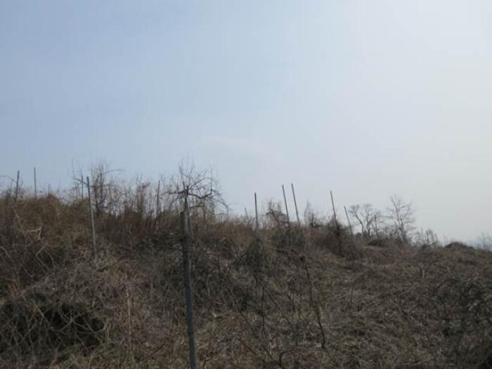 경상북도 문경시 마성면 모곡리 256 전 경매 사진 4
