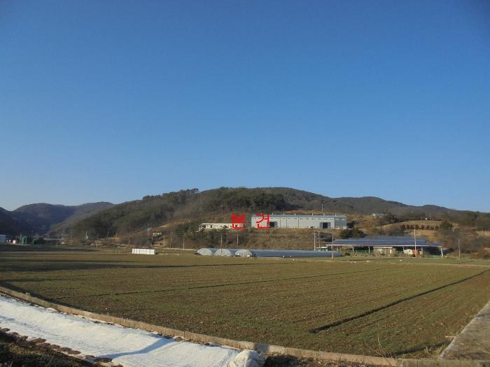 경상남도 의령군 지정면 오천리 323-3 공장 경매 사진 1