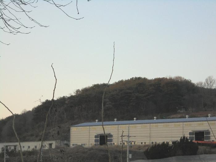 경상남도 의령군 지정면 오천리 323-3 공장 경매 사진 13