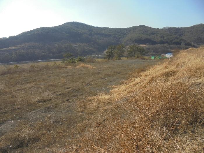 경상남도 의령군 지정면 오천리 323-3 공장 경매 사진 16