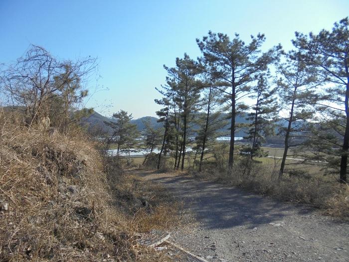 경상남도 의령군 지정면 오천리 323-3 공장 경매 사진 18