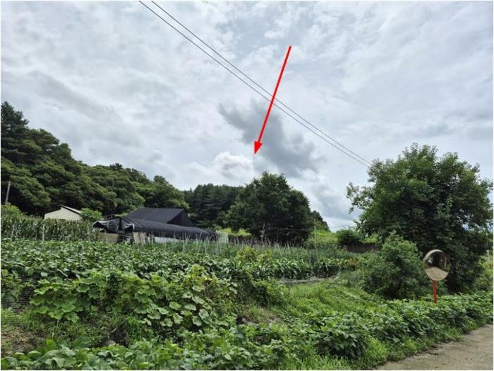 경기도 연천군 연천읍 옥산리 400-7 임야 경매 사진 1