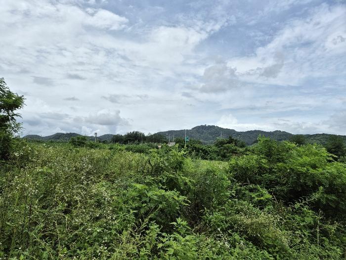 경기도 연천군 연천읍 옥산리 400-7 임야 경매 사진 2